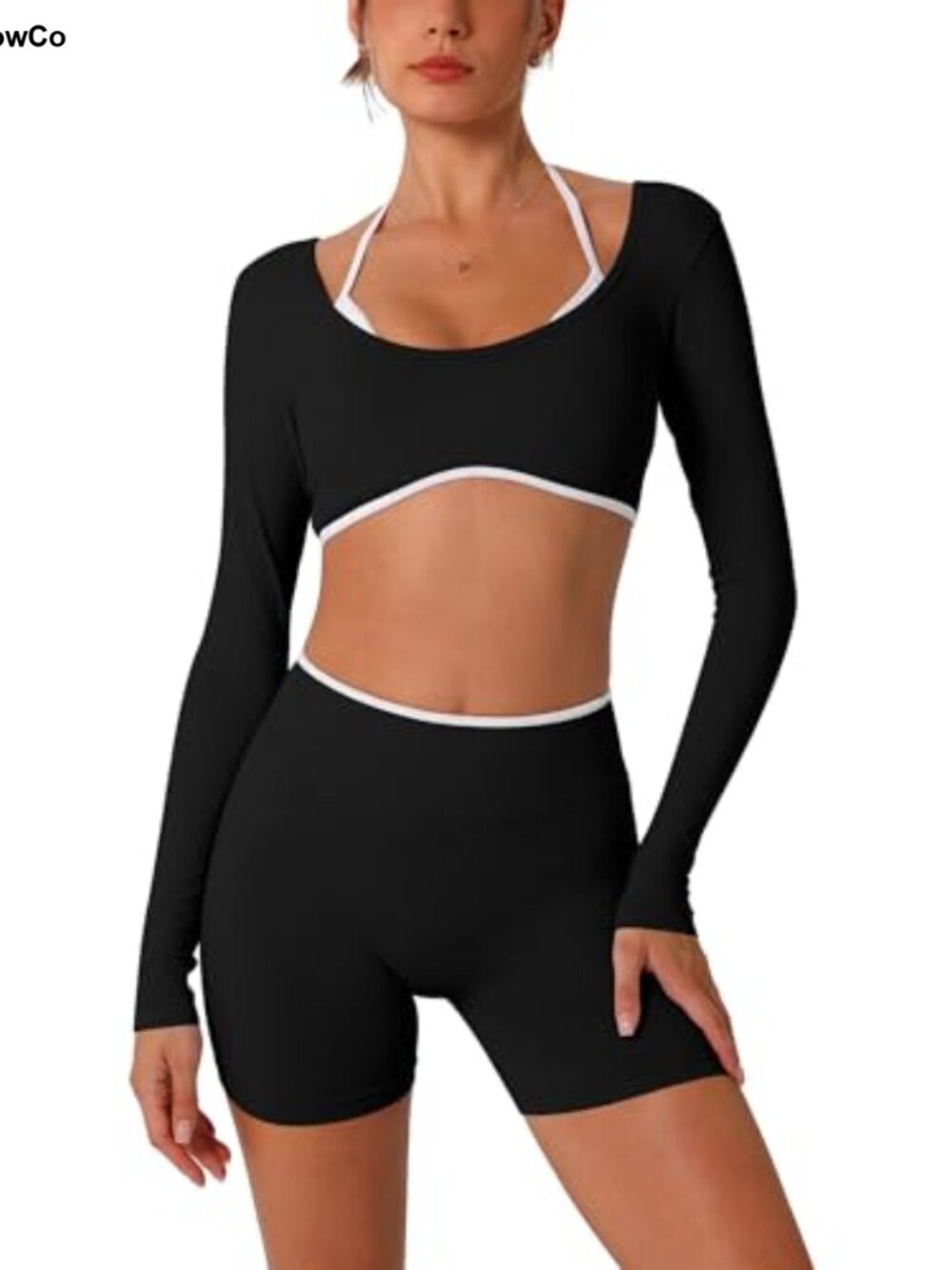 Seamless 2-Piece Workout Set Long Sleeve Crop Top High Waist Shorts